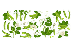 Cartoon fresh green peas. Organic, a Food Illustration by YummyBuum
