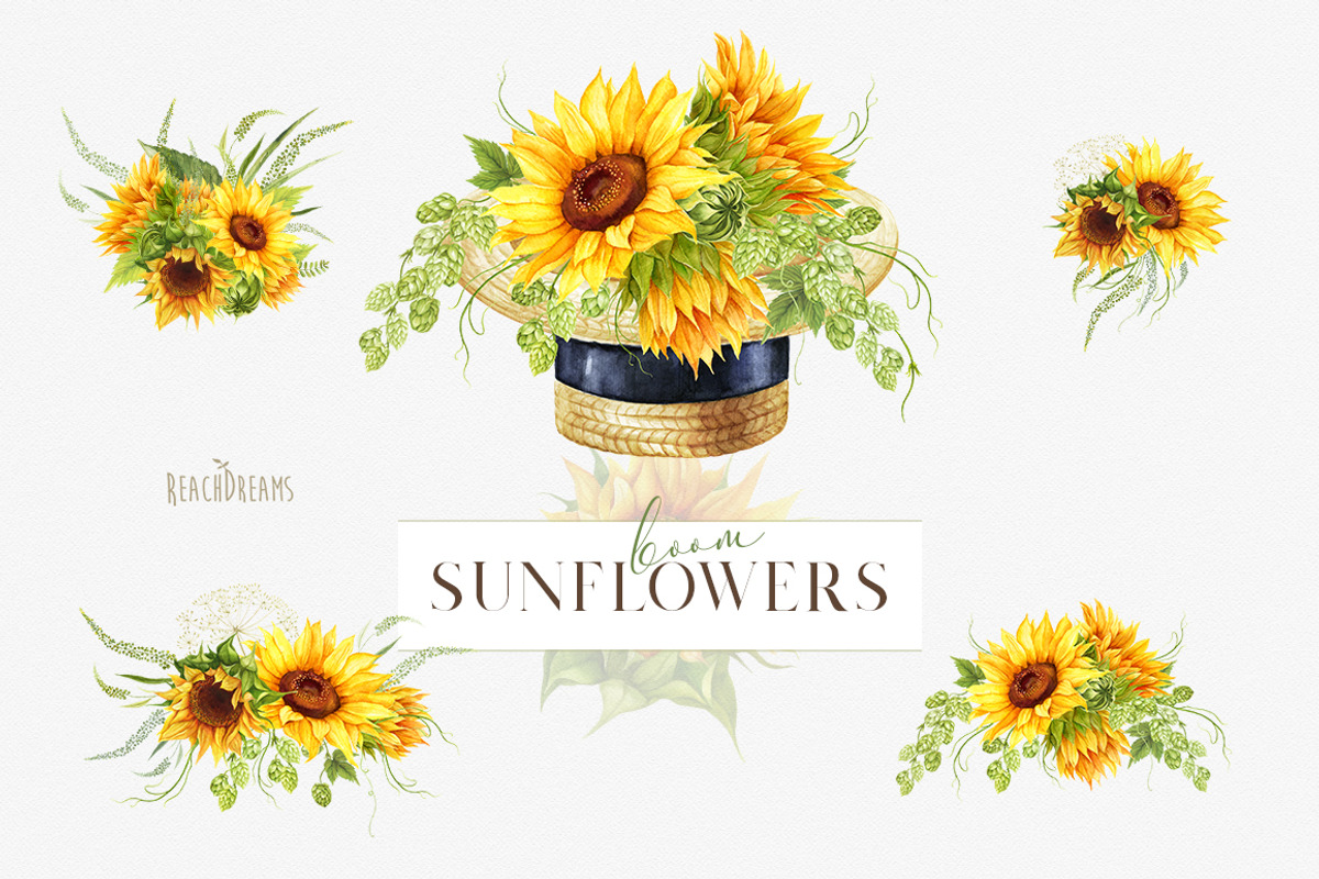 Summer sunflowers collection, an Illustration by ReachDreams (Photo 5 of 7)