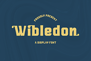 Wibledon A Display Font, a Serif Font by Storytype Studio (Thumbnail 1 of 15)