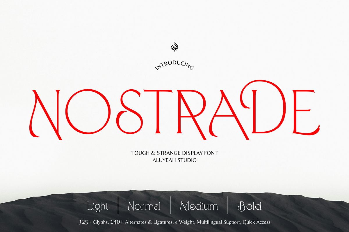 Nostrade, a Serif Font by Aluyeah Studio (Photo 1 of 15)