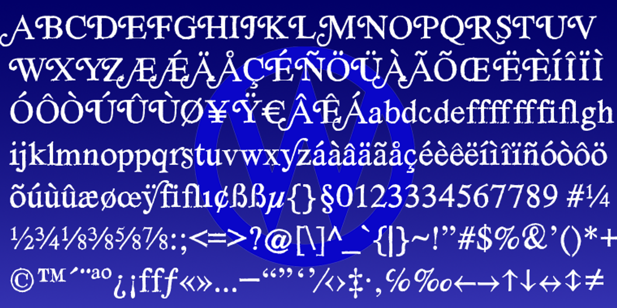 SoftTimes, a Serif Font by Wiescher-Design (Photo 2 of 4)