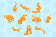 Cat Activity Character Illustration, an Animal Illustration by Loin Studio (Thumbnail 2 of 5)