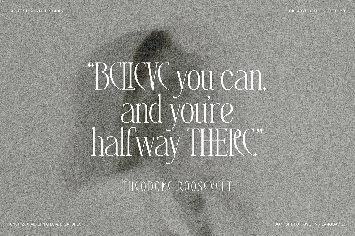 SLTF Rogue Rebellion - Ligature Font, a Serif Font by SilverStag Type Foundry (Photo 27 of 30)