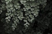 Modern + Moody Lightroom Presets, an Action Add-On by Foto Rx Co. (Thumbnail 3 of 17)