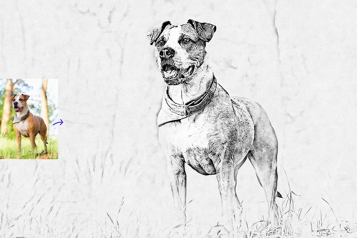 Realistic Drawing & Sketch Effect, an Action Add-On by MRI STUDIO (Photo 17 of 27)