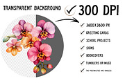 Watercolor Pink Orchid Clipart, an Illustration by Craft Nest (Thumbnail 2 of 12)