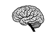 Brain Tree Knowledge Design Bundle, an Illustration by Gaye Art (Thumbnail 3 of 31)