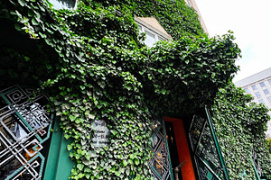 Building exterior covered with lush greenery featuring intricate door design an, a Photo by AS photostudio