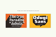Everlo Sans – Bold & Friendly Displa, a Sans Serif Font by Four Lines Std. (Thumbnail 10 of 10)