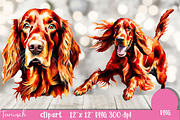 watercolor irish setter clipart PNG, an Animal Illustration by TanuschArts (Thumbnail 4 of 5)