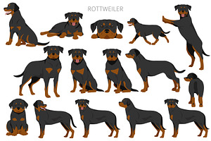 Rottweiler Clipart