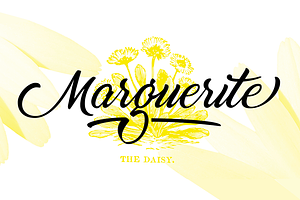 Marguerite - SUMMER SALE - 70% OFF!