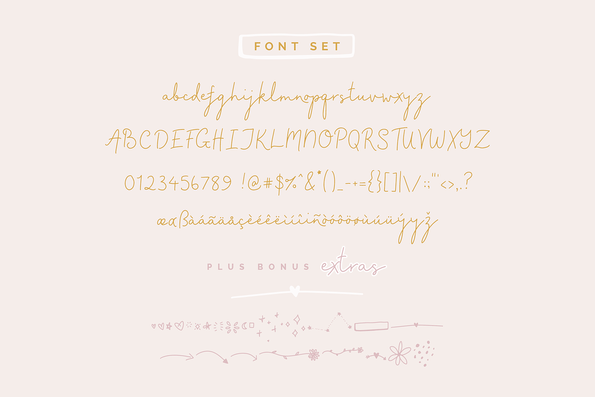 Passion Script Font preview 7