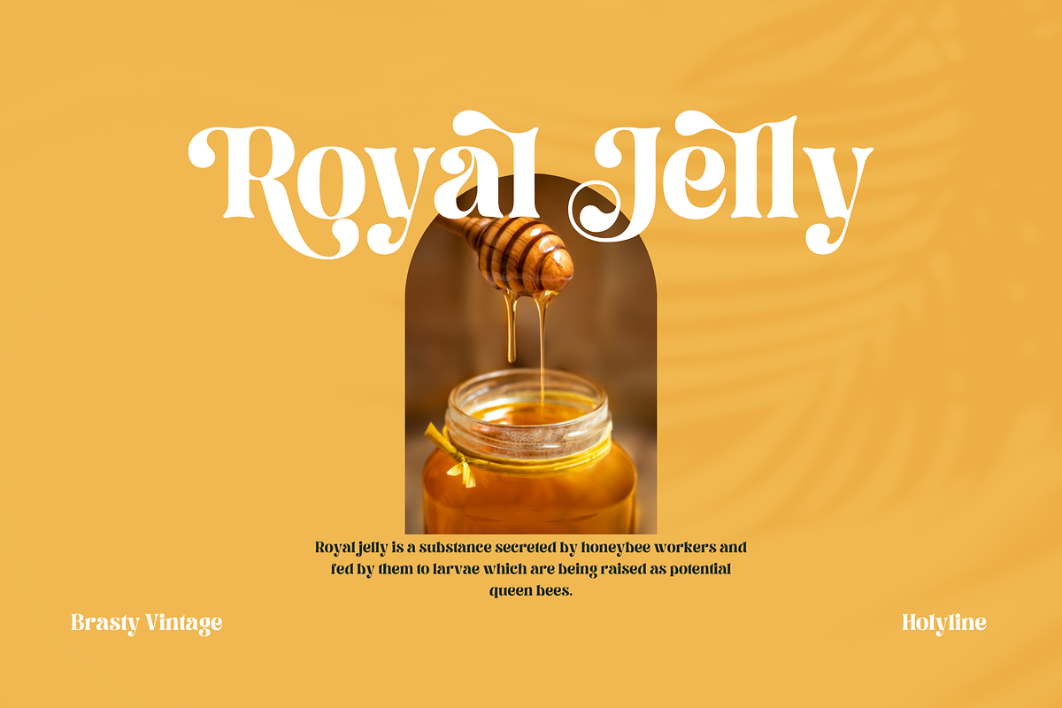 Brasty Vintage - Retro Serif Font, a Serif Font by Holyline Design (Photo 4 of 16)