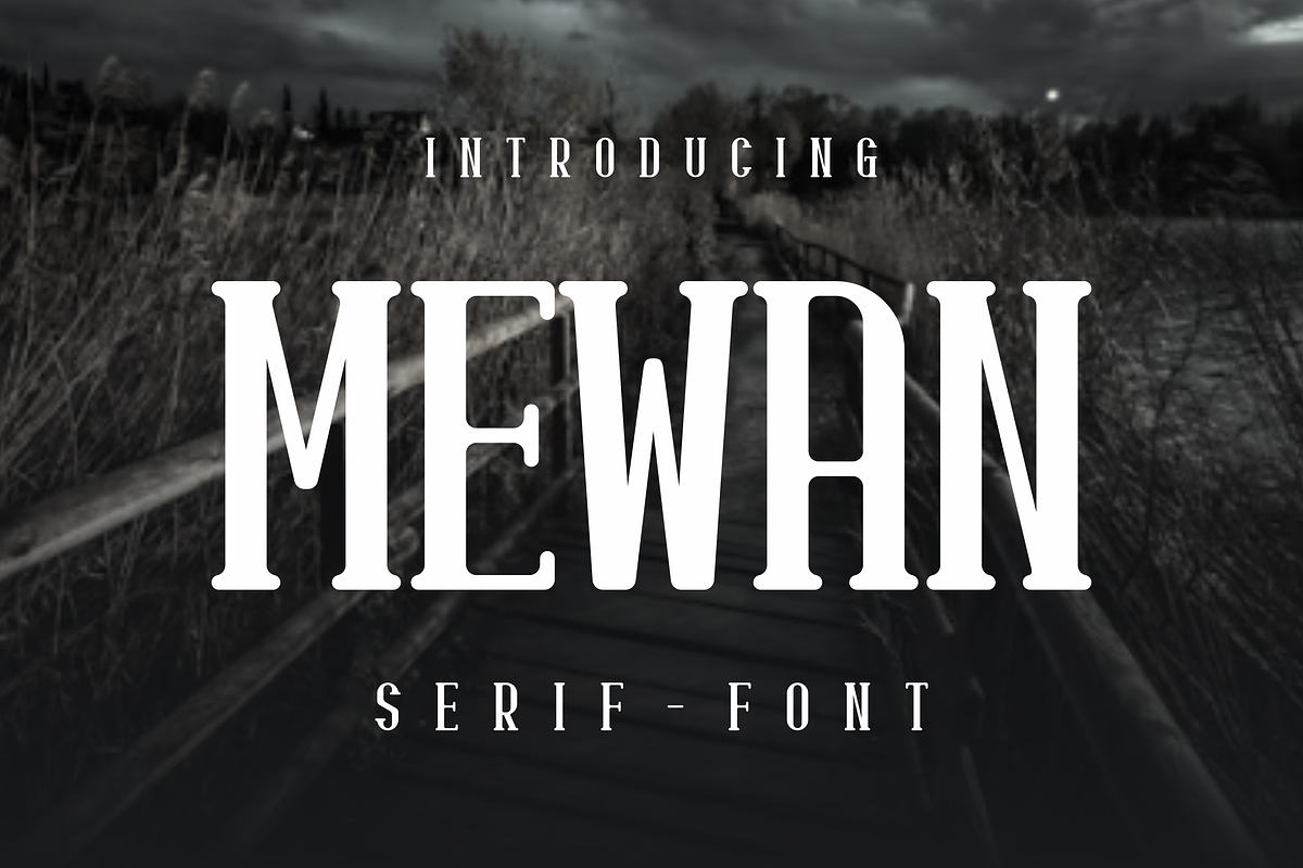 Mewan - Serif Vintage Font, a Serif Font by lelevien (Photo 1 of 4)