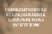 English Island Ligature Serif Font, a Serif Font by Graphicxell (Thumbnail 11 of 11)
