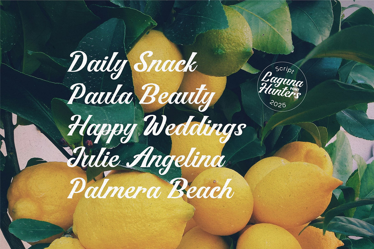 Laguna Hunters – Modern Script Font, a Script Font by Salamahtype (Photo 4 of 7)