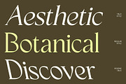 CS Sargent – Art Nouveau Font, a Serif Font by Craft Supply Co. (Thumbnail 2 of 8)