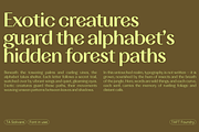 TA Solivare Variable, a Sans Serif Font by TAFT Foundry (Thumbnail 6 of 15)