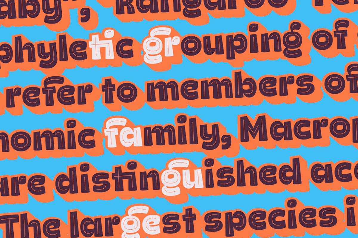 Ding Extra -50%, a Font by Rodrigo Typo (Photo 9 of 9)