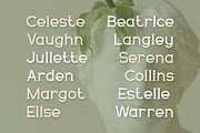 Delavine - Modern Serif Font, a Serif Font by Mily Studio (Thumbnail 6 of 15)