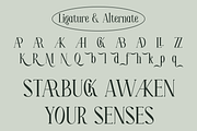 Moelina - A Modern Serif Font, a Serif Font by Marvadesign (Thumbnail 8 of 8)
