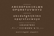 La Paneru Display Font, a Serif Font by Hishand Studio (Thumbnail 8 of 10)