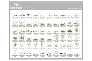 60 Grass Photo Overlays, a Nature Photo by KenScape (Thumbnail 3 of 3)