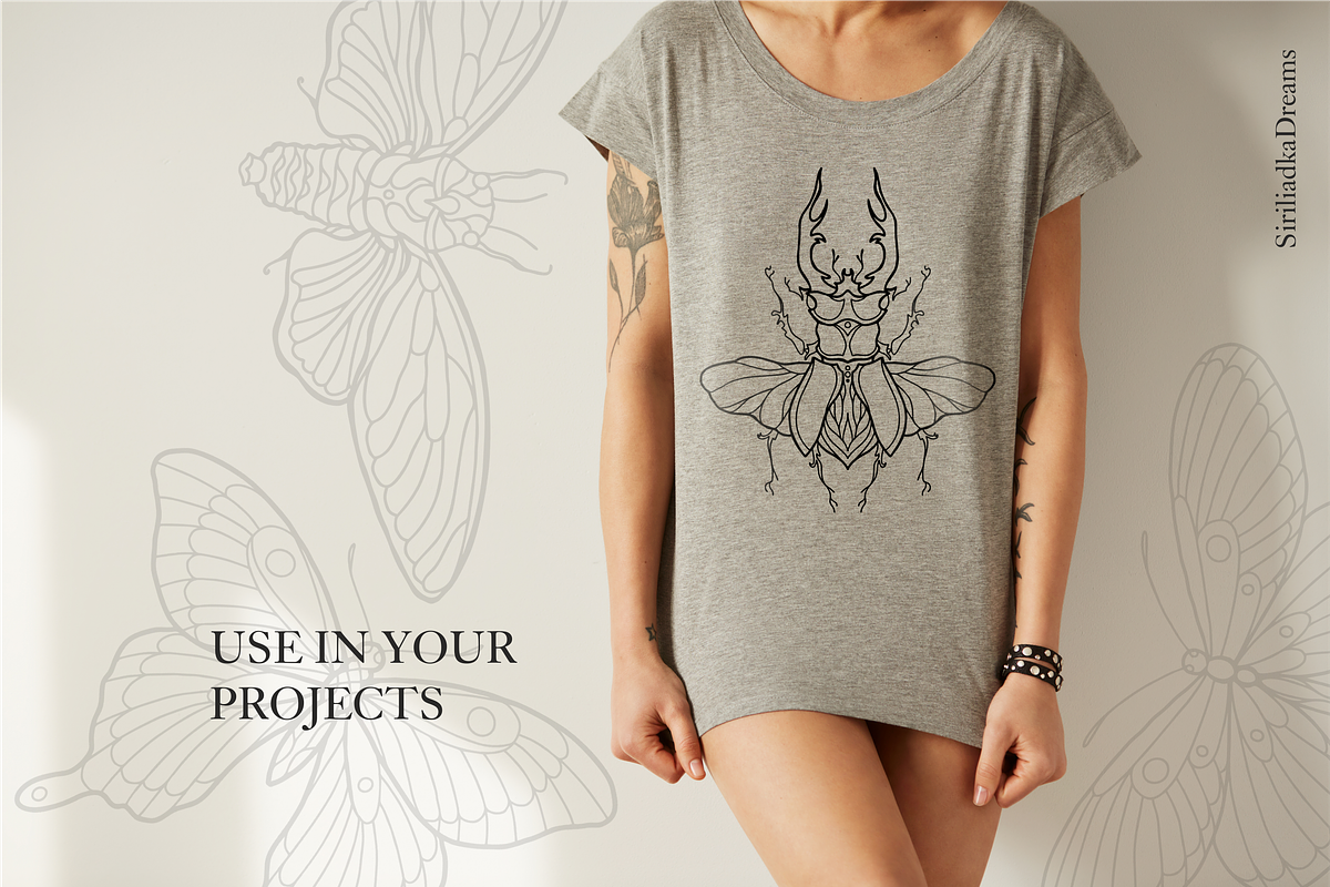 Insects Clipart - Black Line, PNG, an Illustration by Siriliadka Dreams (Photo 8 of 9)