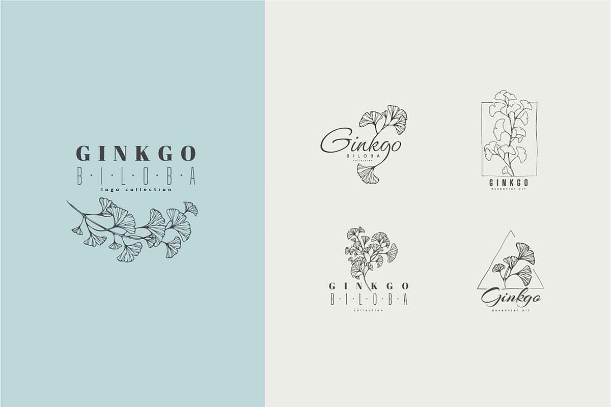 76 Floral premade logos, a Branding & Logo Template by Merfin (Photo 6 of 10)