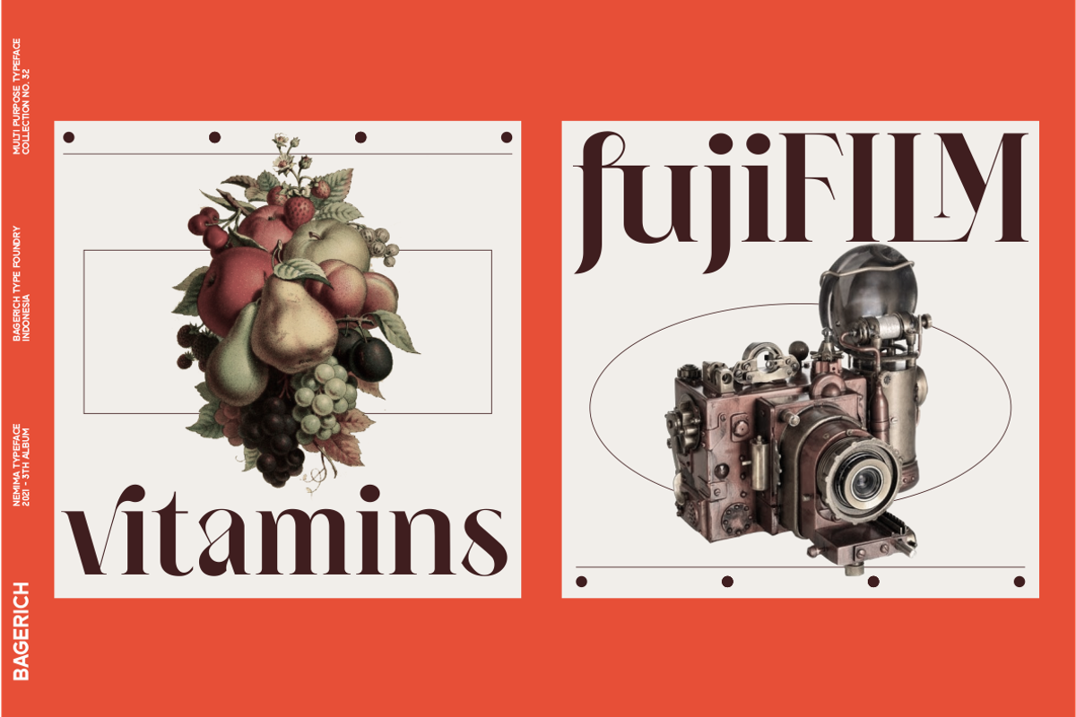 NEIMA, a Serif Font by Bagerich Type Foundry (Photo 4 of 15)