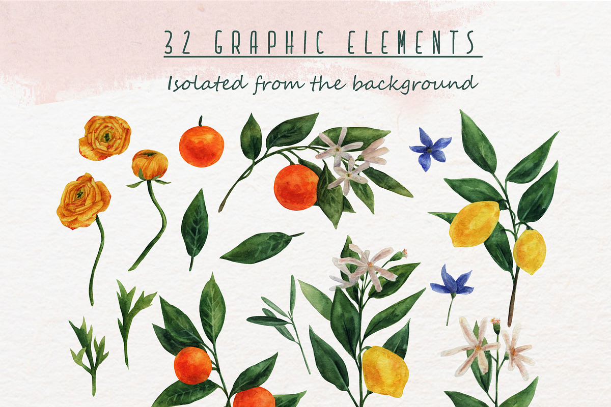 Set of flowers and citrus, a Decorative Illustration by a_ptichkina (Photo 2 of 10)
