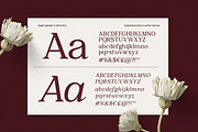 GC Romans Flower - Elegant Serif, a Serif Font by Glyphonic (Thumbnail 9 of 15)