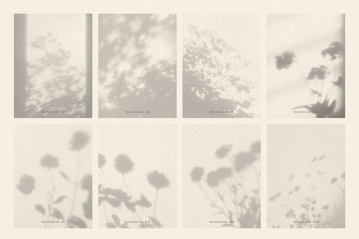 Dappled - Botanical Shadow Overlays, a Texture Graphic by alonahaidash (Photo 12 of 16)
