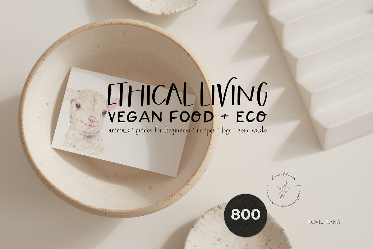 ETHICAL LIVING vegan & eco lifestyle, a Healthcare Illustration by Lana Elanor (Photo 28 of 28)