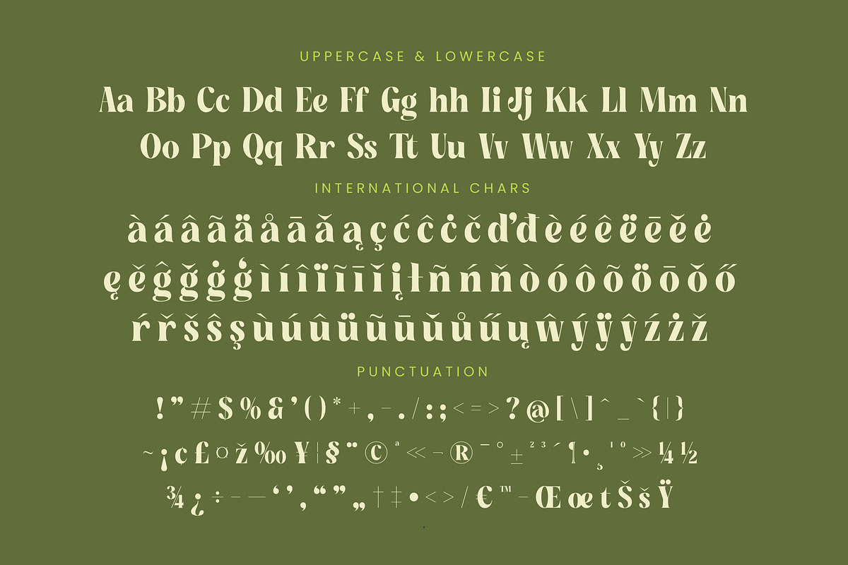 Buffery Reflika Modern Bold Serif, a Serif Font by timelesstype.co (Photo 19 of 20)