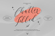 Chatter Filled, a Script Font by Nathatype (Thumbnail 11 of 11)