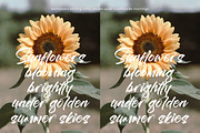 Esterdam, a Handwritten Font by operatype.co (Thumbnail 12 of 15)