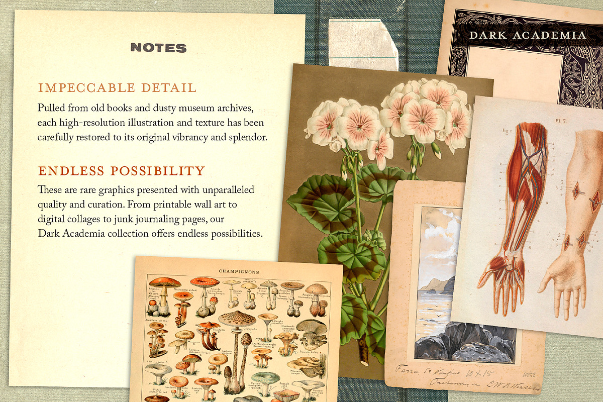 BUNDLE: 600 Academia Ephemera, an Object Graphic by The Object Atlas (Photo 11 of 16)