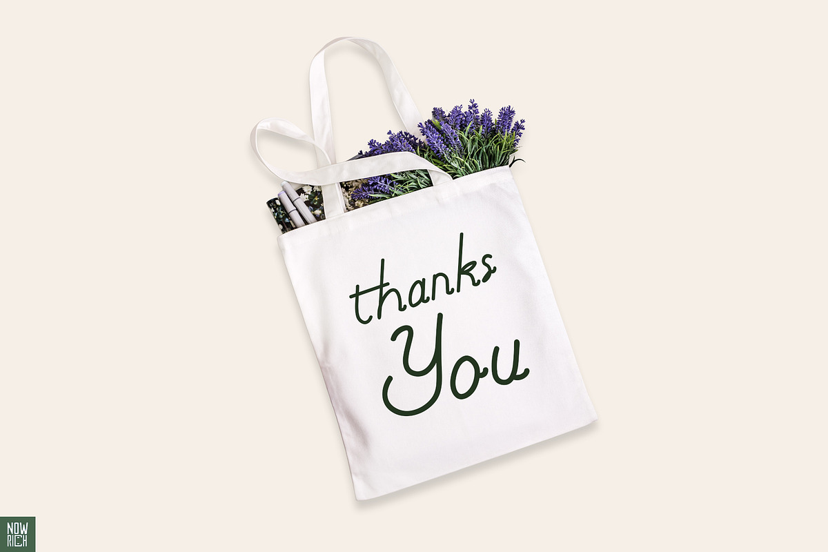 Pistia - Script Typeface, a Script Font by Nouric Design (Photo 19 of 19)