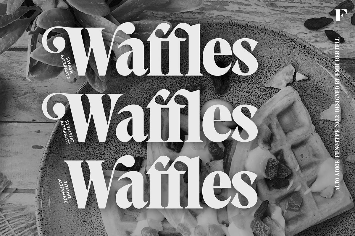 Alto Adige Serif Typeface, a Serif Font by Fenotype (Photo 6 of 14)