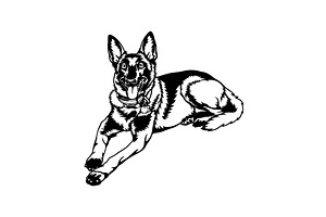 Malinois Dog Breed - Pet Vector Cut, an Animal Illustration by Digital-Clipart