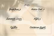 Blaire - Handwritten Font, a Script Font by erlosDESIGN (Thumbnail 9 of 12)