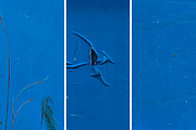 Blue rusted metal textures, a Texture Graphic by The Shop (Thumbnail 7 of 30)