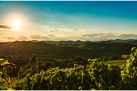 Vineyards panorama along Styrian, a Nature Photo by MadPhotos
