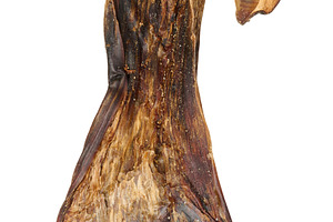 A dried mushroom with a fibrous, dark brown texture. Isolated ba, a Food & Drink Photo by ndanko