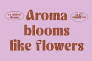 CS Alston Drawn, a Serif Font by Craft Supply Co. (Thumbnail 2 of 8)