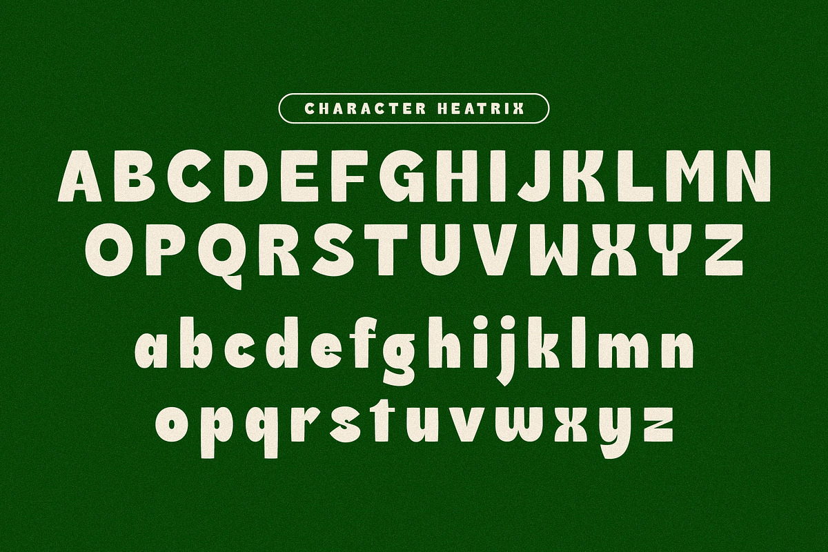 Heatrix Sans Serif Display, a Sans Serif Font by Storytype Studio (Photo 12 of 15)