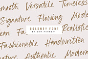 Goldney Font, a Script Font by Sam Parrett (Thumbnail 5 of 9)