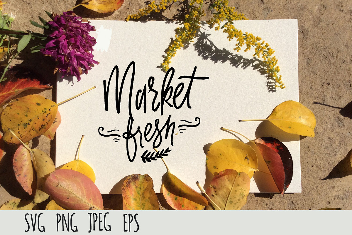 21 designs for farmers market, a Decorative Illustration by Veronika M (Photo 3 of 4)